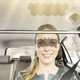 Image for article titled Those Vultures At Bosch Stole My Idea For An LCD-Based Dynamic Sun Visor